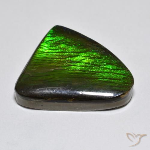 amolita Multicolor natural de 13.96 ct, Elegante, Opaco