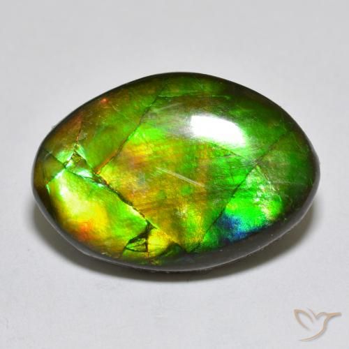 10.50ct Natural Multicolor amolita, Elegante, Opaco