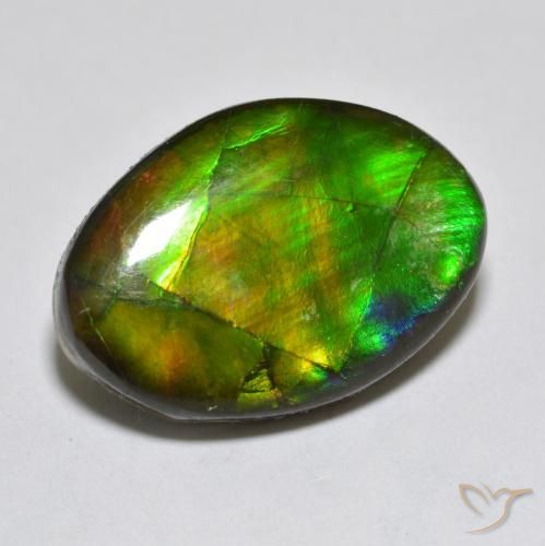 amolita Multicolor natural de 10.50 ct, Elegante, Opaco