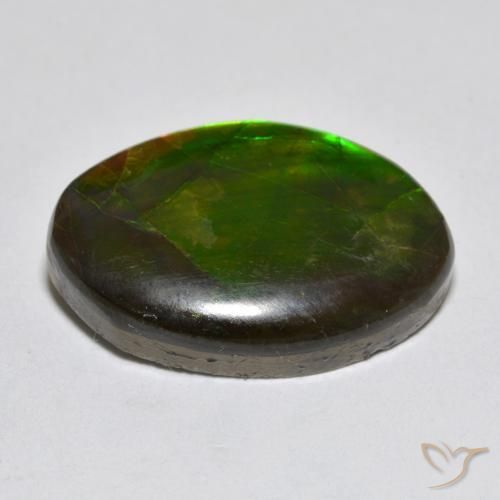 amolita Multicolor natural de 10.50 ct, Elegante, Opaco