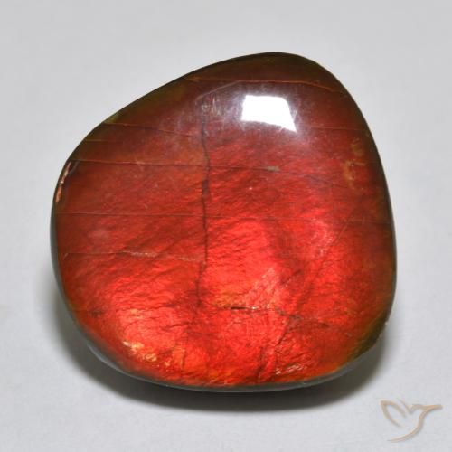15.39ct Natural Multicolor amolita, Elegante, Opaco