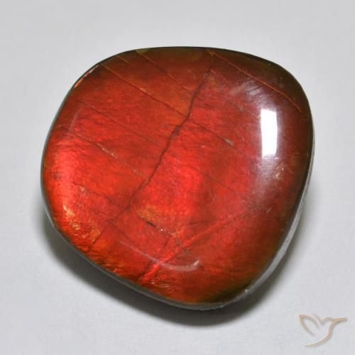 amolita Multicolor natural de 15.39 ct, Elegante, Opaco