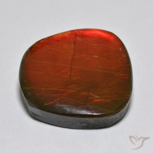 amolita Multicolor natural de 15.39 ct, Elegante, Opaco