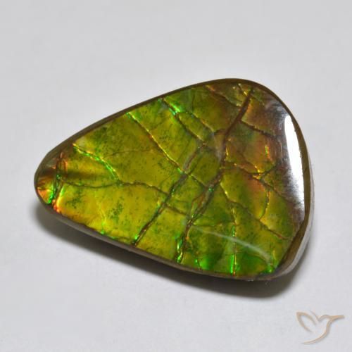 amolita Multicolor natural de 11.13 ct, Elegante, Opaco