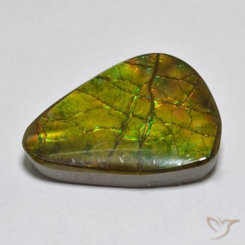 amolita Multicolor natural de 11.13 ct, Elegante, Opaco