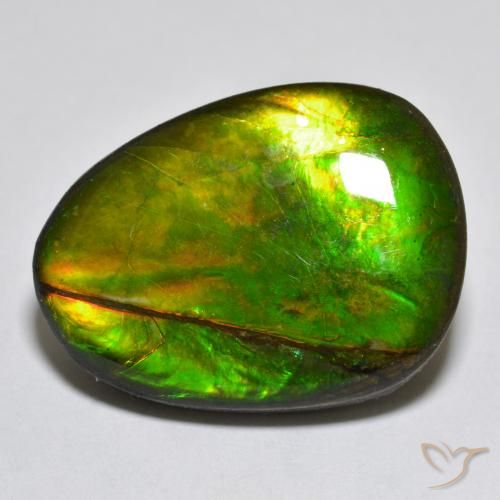amolita Multicolor natural de 18.76 ct, Elegante, Opaco