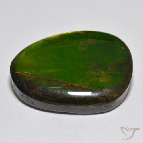 amolita Multicolor natural de 18.76 ct, Elegante, Opaco