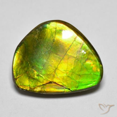 11.11ct Natural Multicolor amolita, Elegante, Opaco