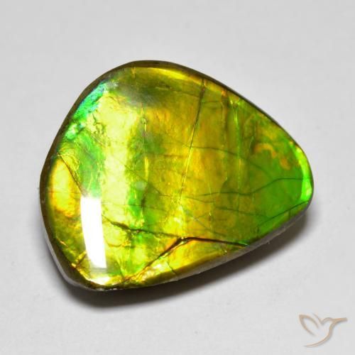 amolita Multicolor natural de 11.11 ct, Elegante, Opaco