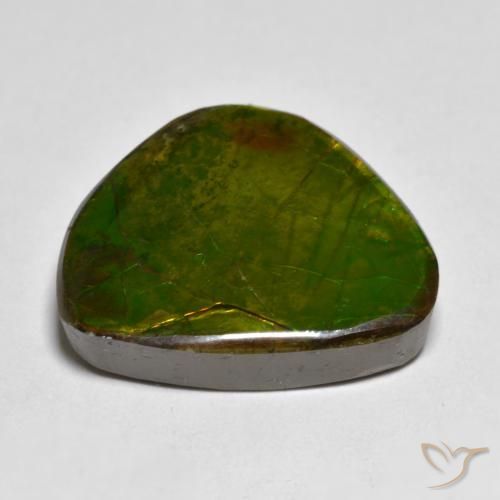 amolita Multicolor natural de 11.11 ct, Elegante, Opaco