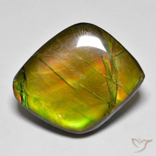 19.04ct Natural Multicolor amolita, Elegante, Opaco