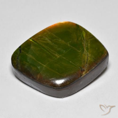 amolita Multicolor natural de 19.04 ct, Elegante, Opaco