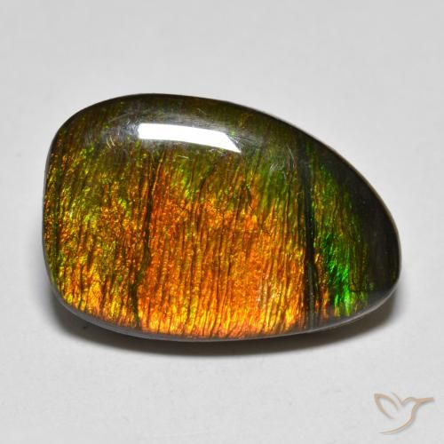 10.20ct Natural Multicolor amolita, Elegante, Opaco