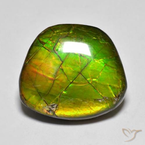 amolita Multicolor natural de 11.20 ct, Elegante, Opaco