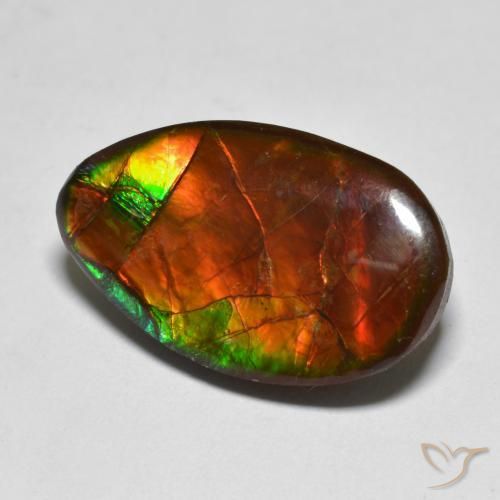 13.17ct Natural Multicolor amolita, Elegante, Opaco
