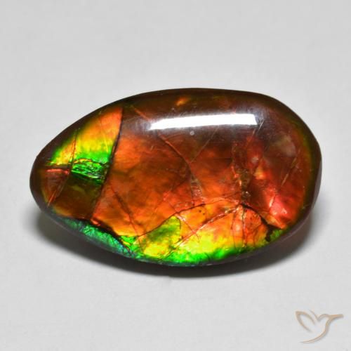 amolita Multicolor natural de 13.17 ct, Elegante, Opaco