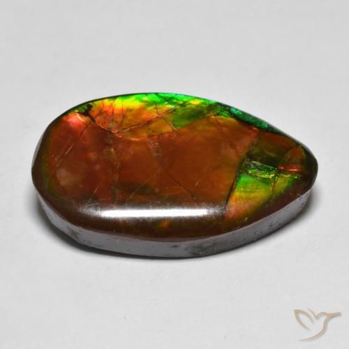 amolita Multicolor natural de 13.17 ct, Elegante, Opaco