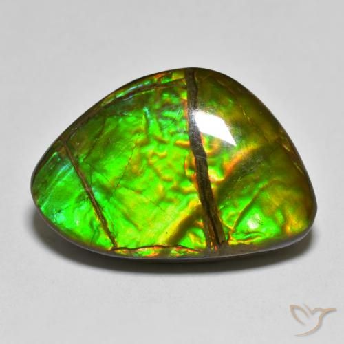 12.75ct Natural Multicolor amolita, Elegante, Opaco