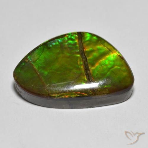 amolita Multicolor natural de 12.75 ct, Elegante, Opaco