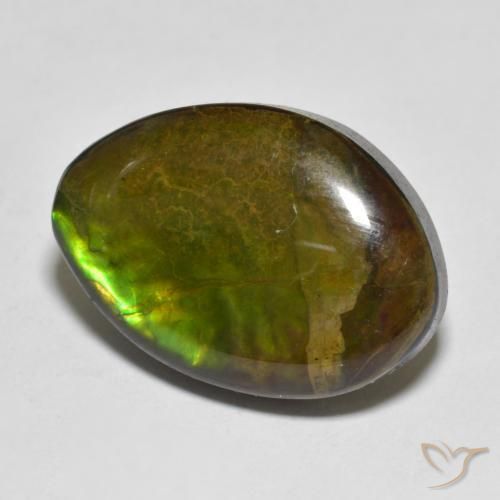 amolita Multicolor natural de 11.56 ct, Elegante, Opaco