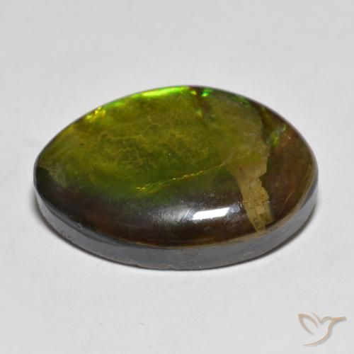 amolita Multicolor natural de 11.56 ct, Elegante, Opaco
