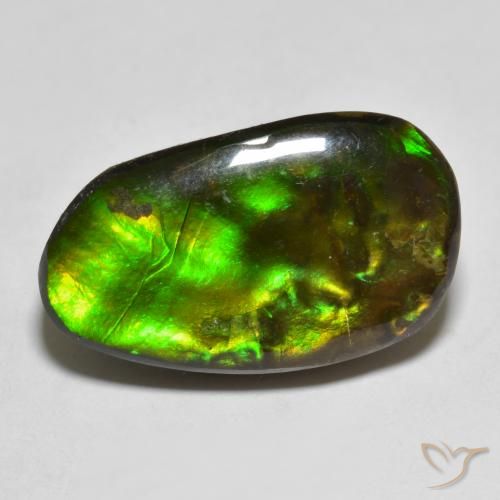 13.25ct Natural Multicolor amolita, Elegante, Opaco