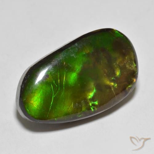 amolita Multicolor natural de 13.25 ct, Elegante, Opaco