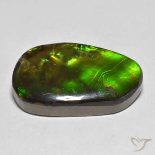 amolita Multicolor natural de 13.25 ct, Elegante, Opaco