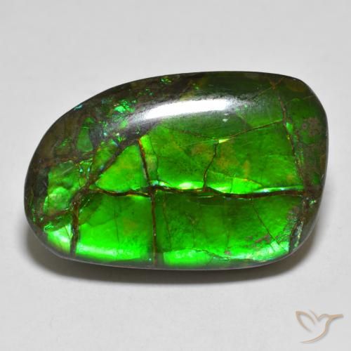 16.43ct Natural Multicolor amolita, Elegante, Opaco