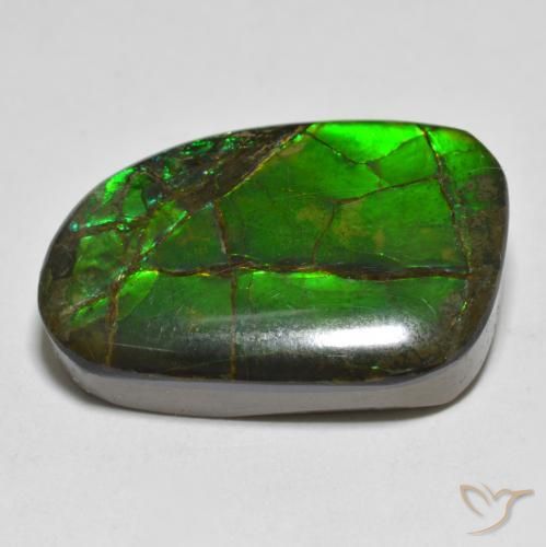 amolita Multicolor natural de 16.43 ct, Elegante, Opaco
