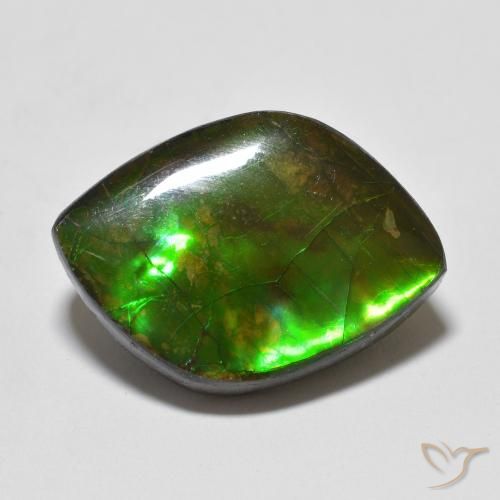 10.24ct Natural Multicolor amolita, Elegante, Opaco