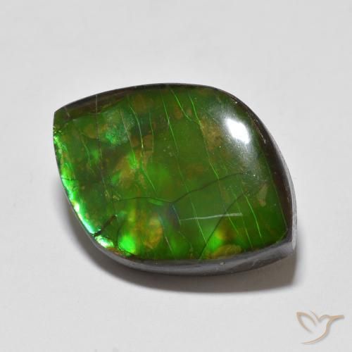 amolita Multicolor natural de 10.24 ct, Elegante, Opaco