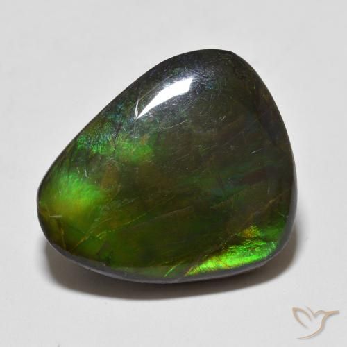 12.93ct Natural Multicolor amolita, Elegante, Opaco