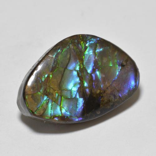 amolita Multicolor natural de 10.90 ct, Forma elegante, Opaco