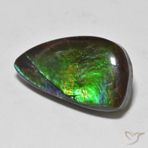 11.99ct Natural Multicolor amolita, Elegante, Opaco
