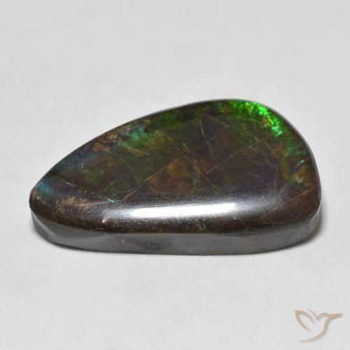 amolita Multicolor natural de 11.99 ct, Elegante, Opaco