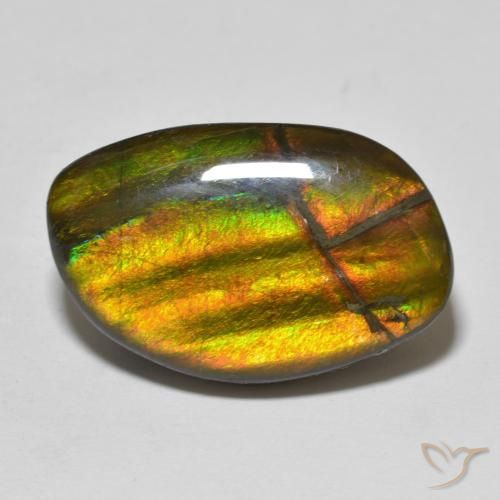 11.86ct Natural Multicolor amolita, Elegante, Opaco