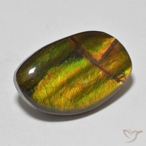 amolita Multicolor natural de 11.86 ct, Elegante, Opaco