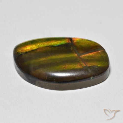 amolita Multicolor natural de 11.86 ct, Elegante, Opaco