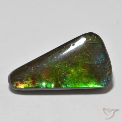 13.74ct Natural Multicolor amolita, Elegante, Opaco