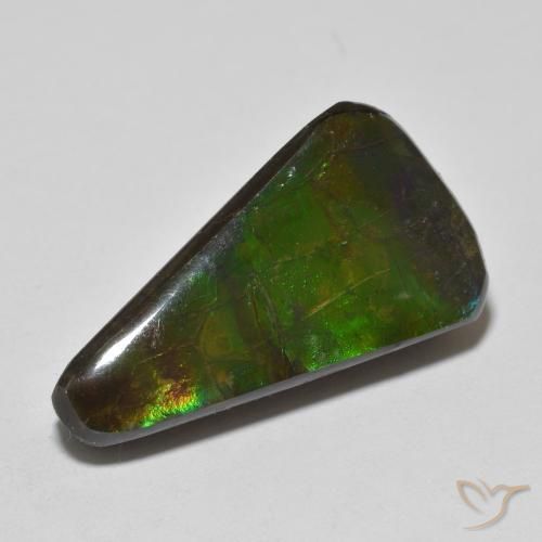 amolita Multicolor natural de 13.74 ct, Elegante, Opaco