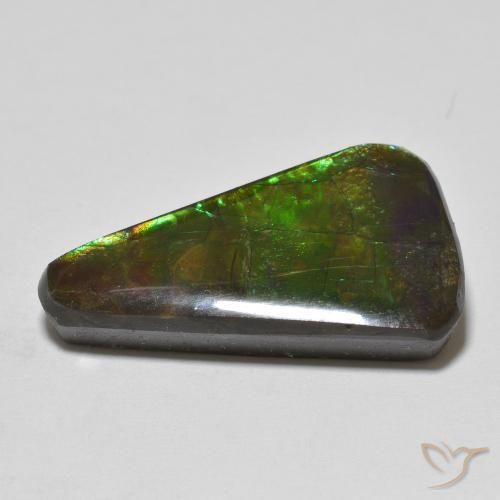amolita Multicolor natural de 13.74 ct, Elegante, Opaco