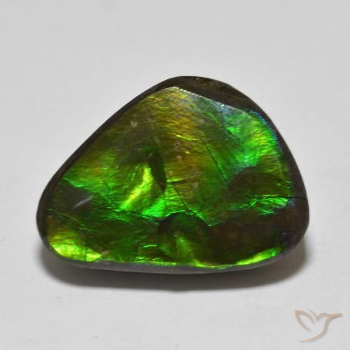 13.90ct Natural Multicolor amolita, Elegante, Opaco