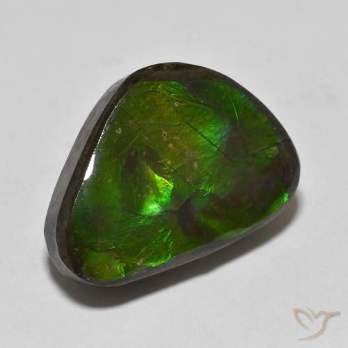 amolita Multicolor natural de 13.90 ct, Elegante, Opaco