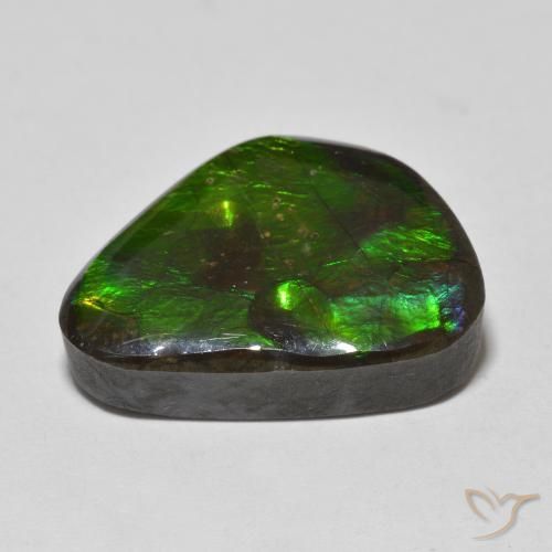 amolita Multicolor natural de 13.90 ct, Elegante, Opaco