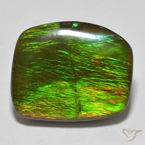 18.23ct Natural Multicolor amolita, Elegante, Opaco