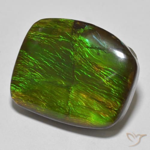 amolita Multicolor natural de 18.23 ct, Elegante, Opaco