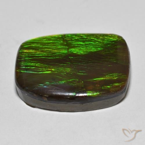 amolita Multicolor natural de 18.23 ct, Elegante, Opaco