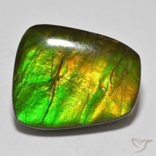 15.03ct Natural Multicolor amolita, Elegante, Opaco