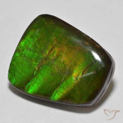 amolita Multicolor natural de 15.03 ct, Elegante, Opaco